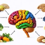 The Surprising Link Between Your Child’s Plate and Their State of Mind