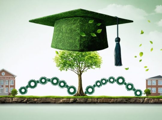 Visual representation of an integrated behavioral health degree, showing a graduation cap on a tree, interconnected cogs, and a bridge against a school building backdrop, symbolizing the fusion of mental health care and education.